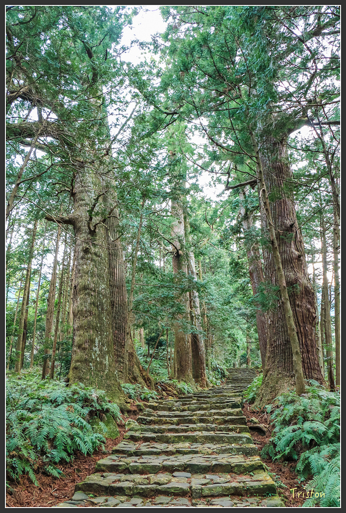 IMG_5728.jpg - 20160323 日本熊野古道健行