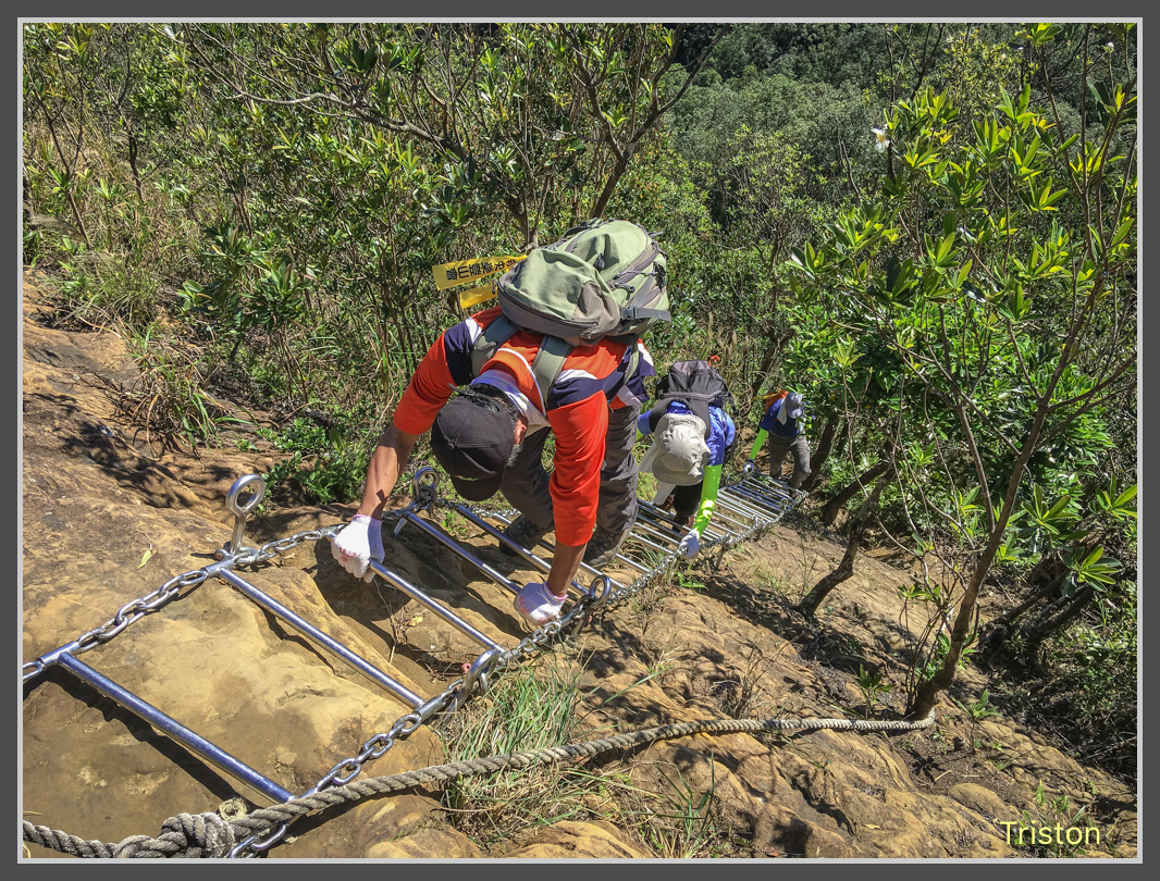 IMG_2883.jpg - 201161113 皇帝殿東西峰