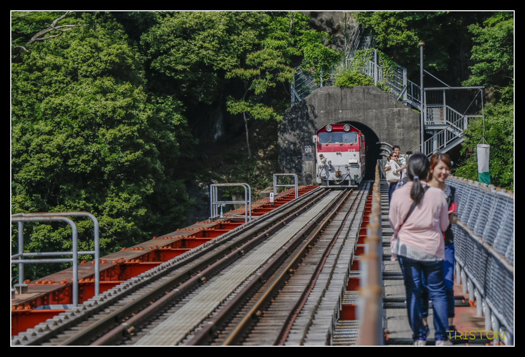 _MG_0524.jpg - 20170702 靜岡東海道之旅