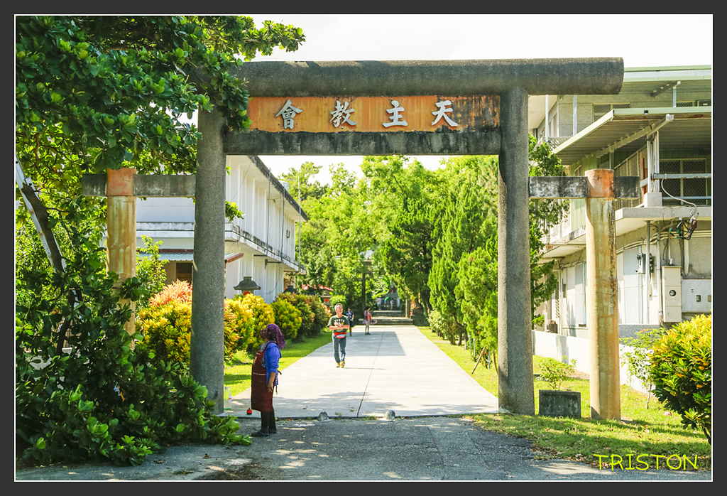 _H1A6239.jpg - 20170901 戀戀台九線