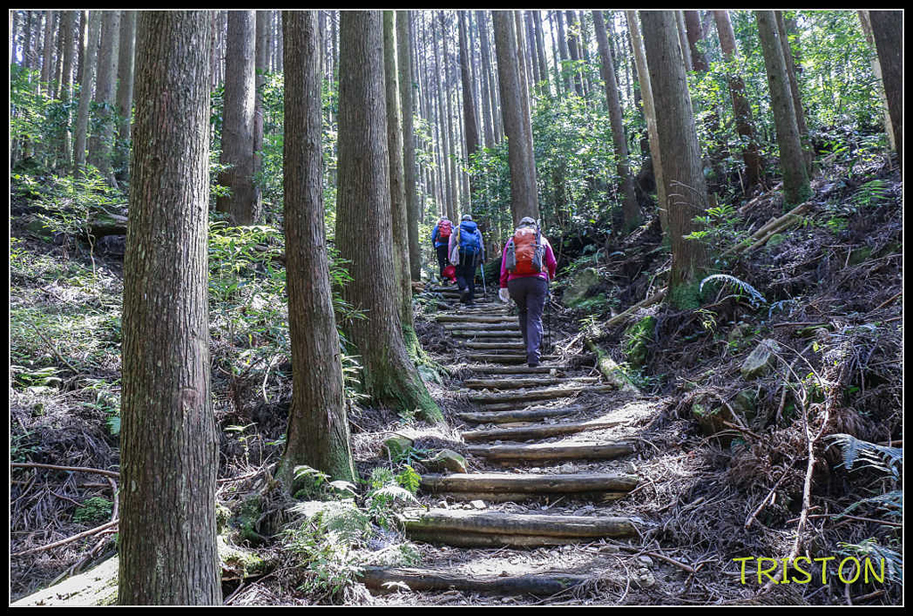 _MG_0011.jpg - 20170920 加里山
