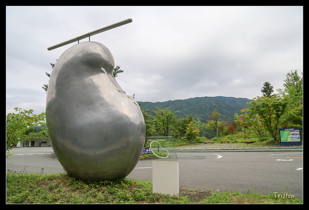 JH1A9803.jpg - 20150628 東京輕井澤日光