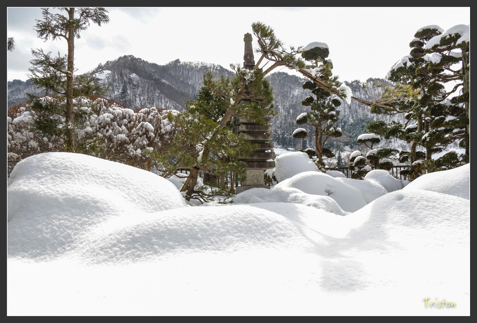 2016ZAO-00752.jpg - 20160131 日本藏王溫泉滑雪親子行