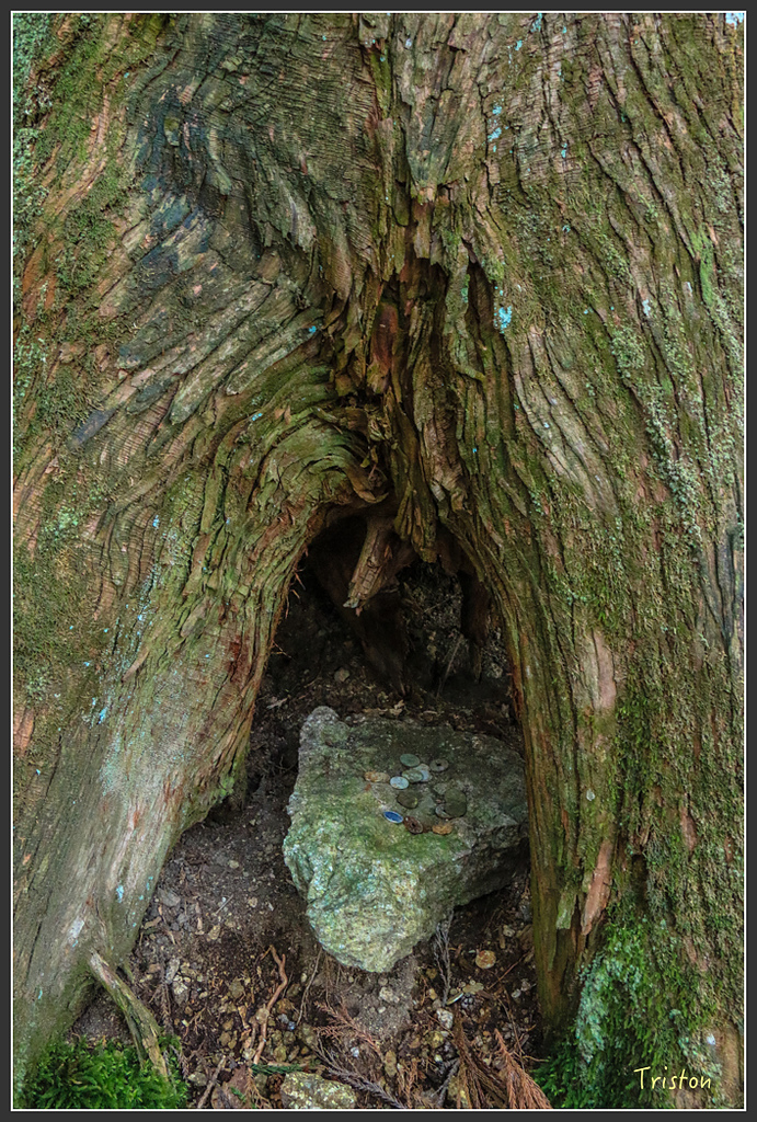 IMG_5396.jpg - 20160323 日本熊野古道健行