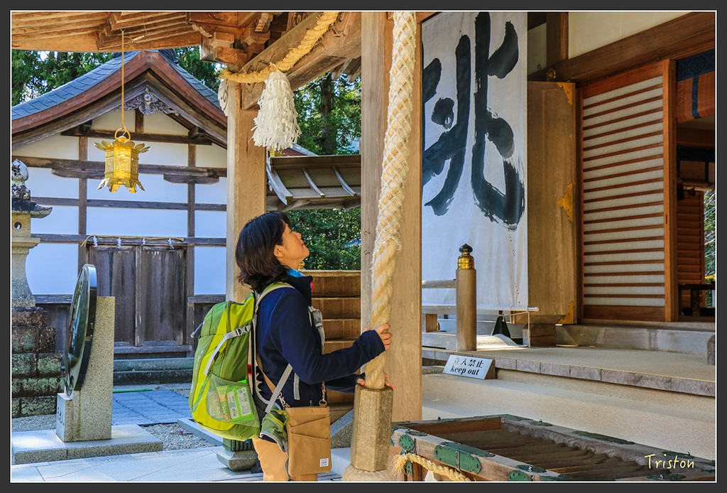 IMG_4880.jpg - 20160323 日本熊野古道健行