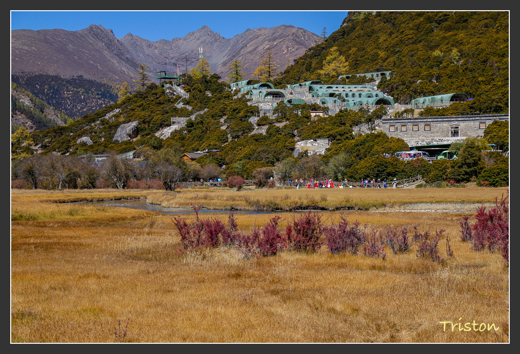 _MG_2187.jpg - 20161013 稻城亞丁