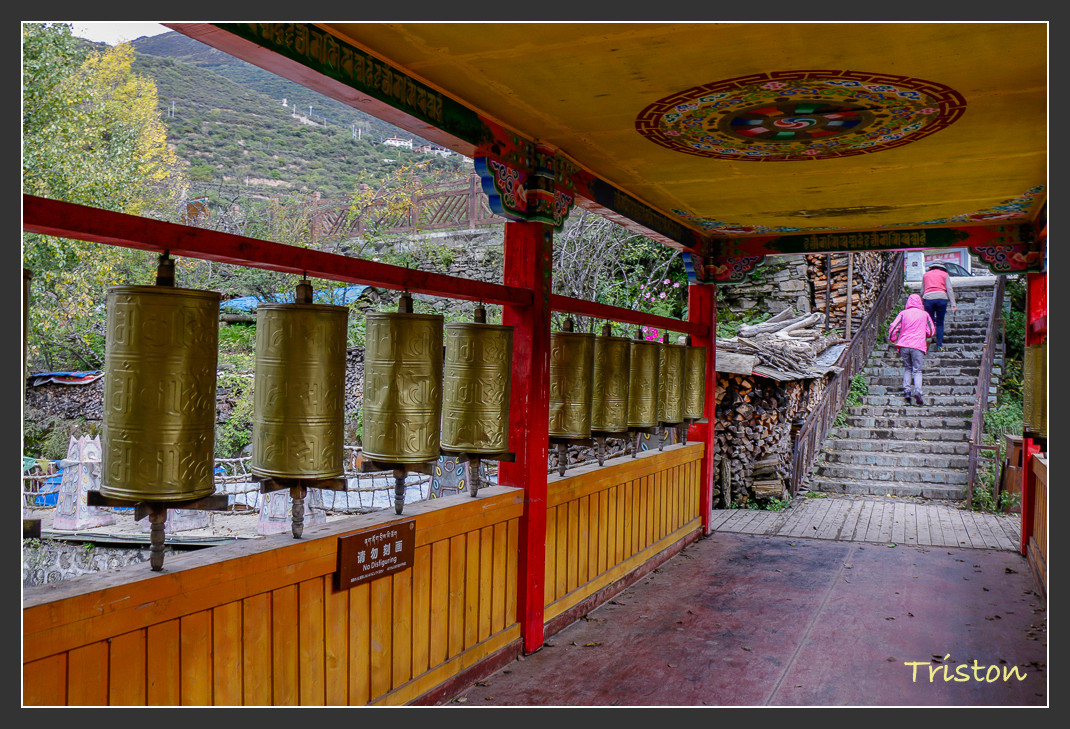 _MG_0391.jpg - 20161013 稻城亞丁