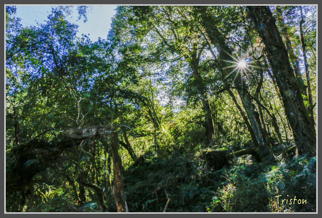 _MG_0348.jpg - 20161203 鎮西堡