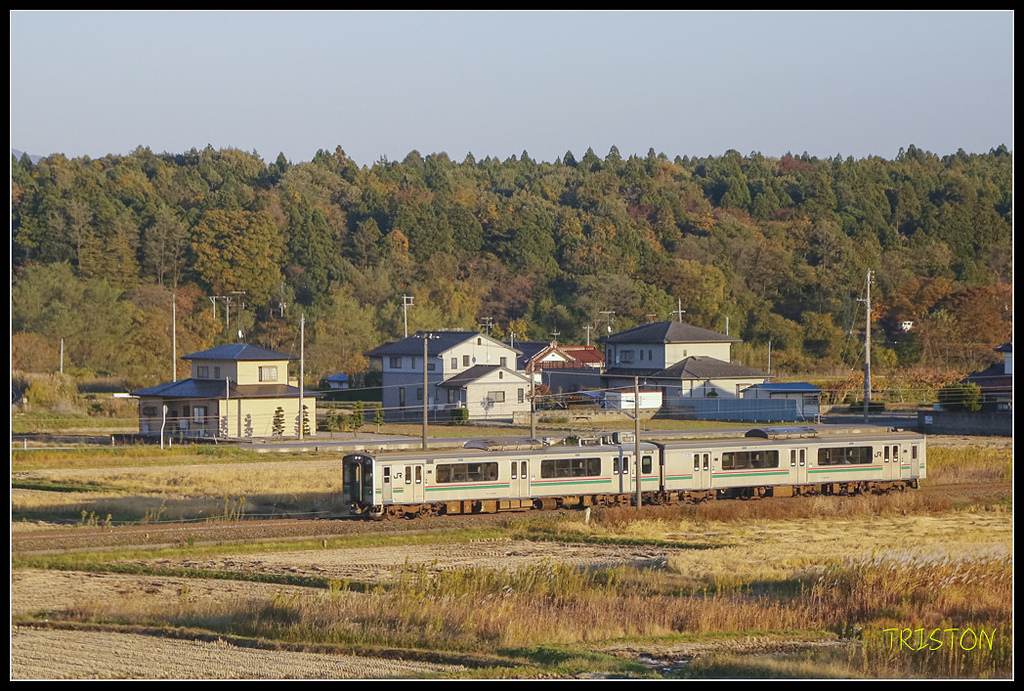 _H1A0114.jpg - 20171103 日本只見線、會津若松五色沼、昭和記念公園賞紅葉