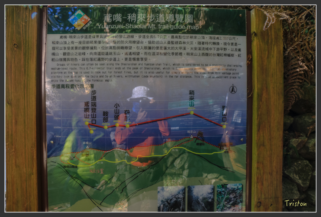 IMG_0406.jpg - 20151219 鳶嘴稍來山、小雪山林道