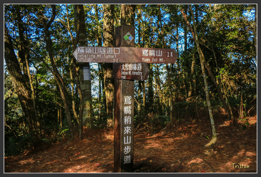 IMG_0414.jpg - 20151219 鳶嘴稍來山、小雪山林道
