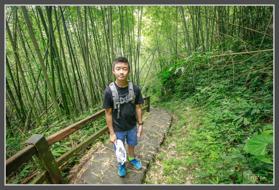 _MG_8747.jpg - 20160622 圓潭、雲潭、水社寮車站