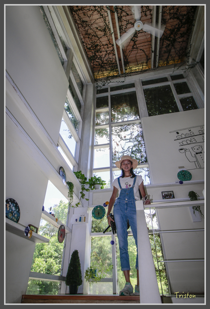 _MG_8850.jpg - 20160712 苗栗薰衣草森林