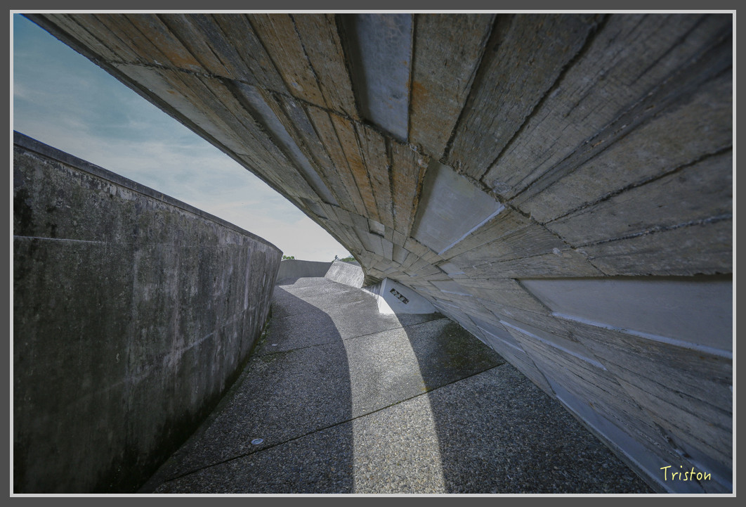 165 JH1A9958.jpg - 20160801 父子親子遊東北角