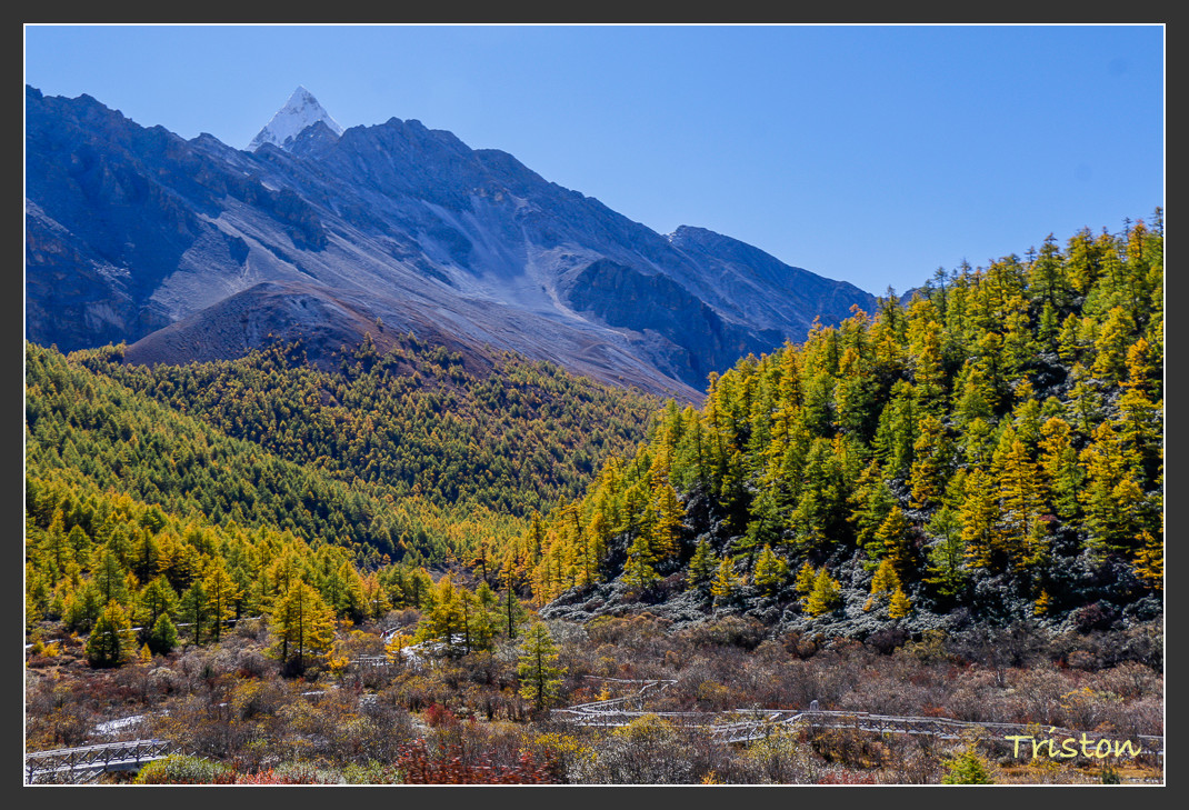 _MG_1673.jpg - 20161013 稻城亞丁