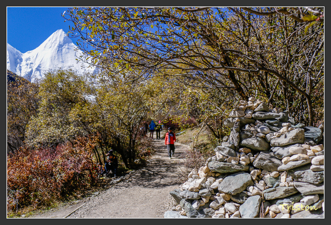 _MG_1717.jpg - 20161013 稻城亞丁