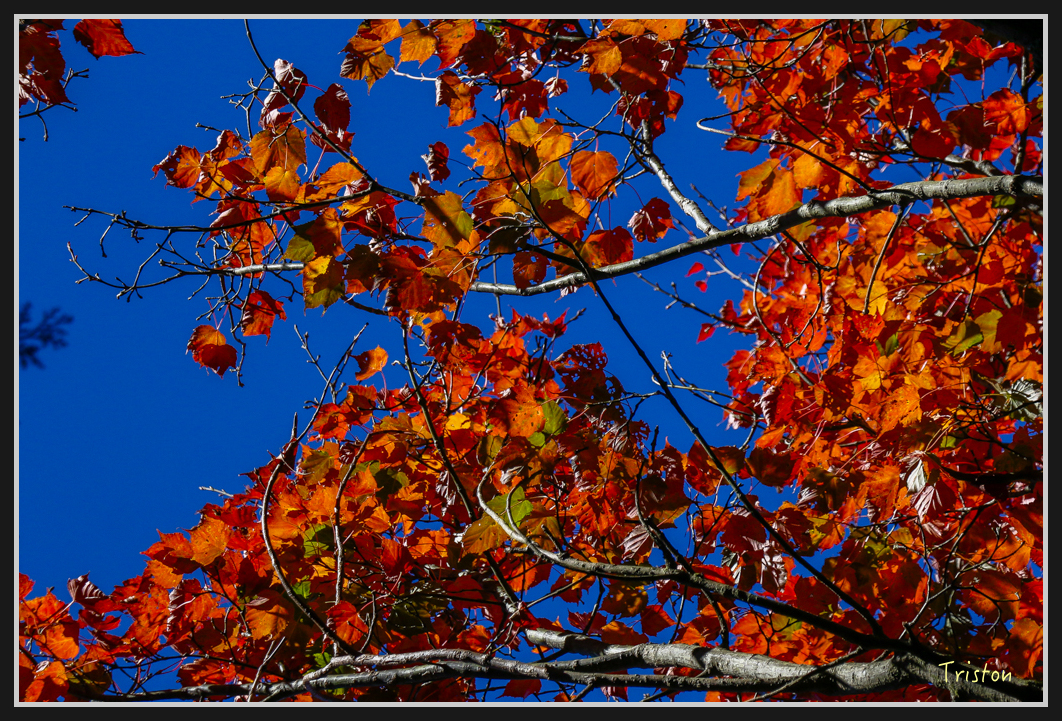 _MG_0038.jpg - 20161226 大塔山