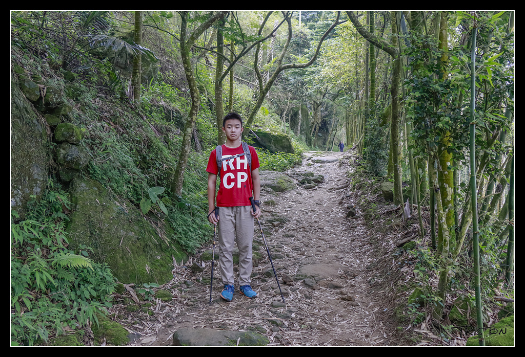 _MG_0037.jpg - 20170529 關仔嶺大凍山