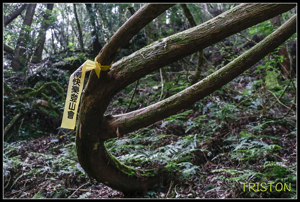 _MG_0059.jpg - 20170920 加里山