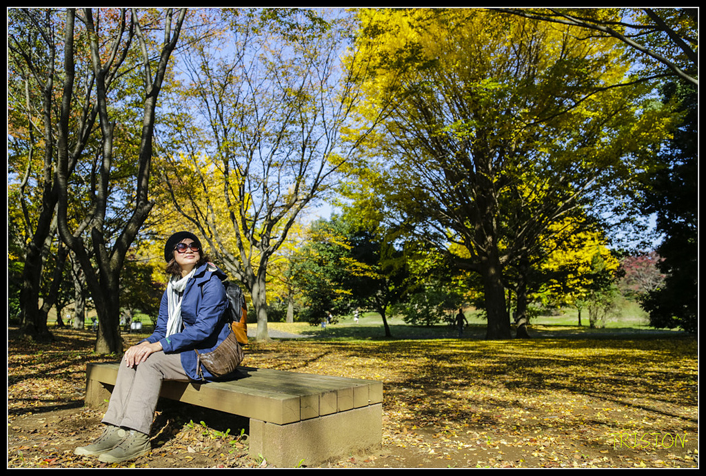 _H1A1784.jpg - 20171103 日本只見線、會津若松五色沼、昭和記念公園賞紅葉