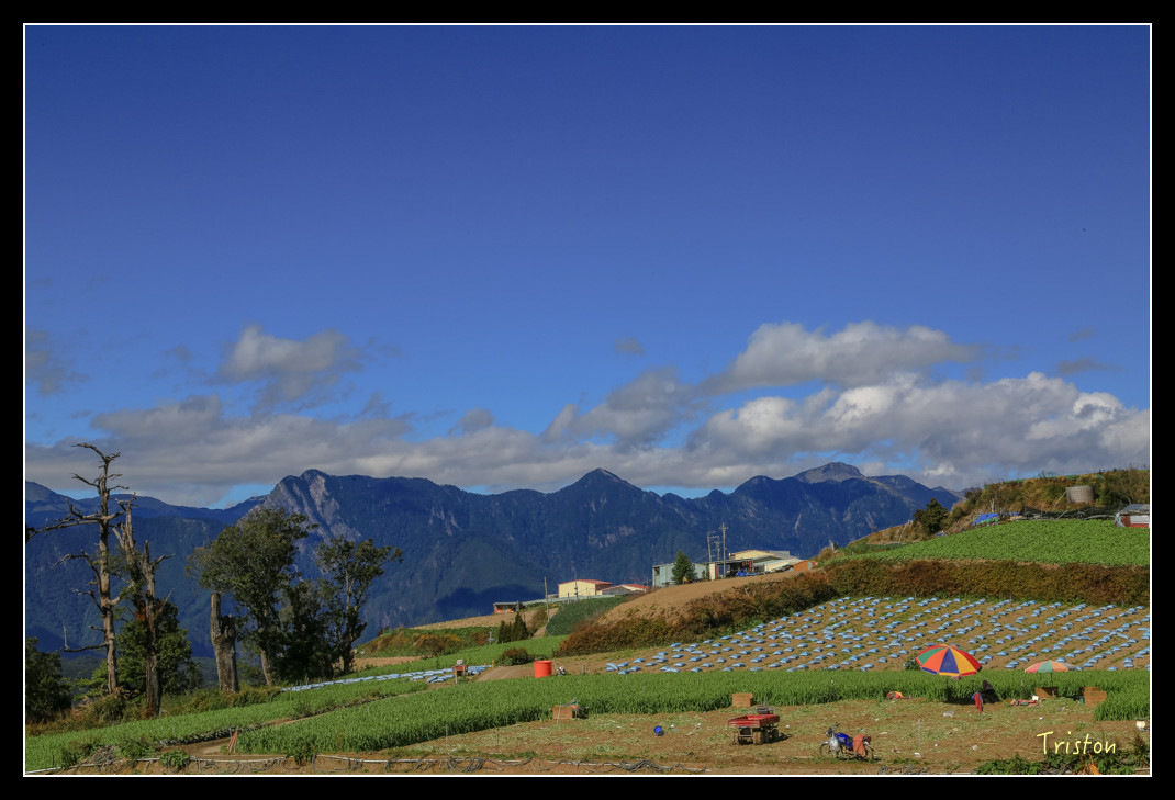 JH1A0627.jpg - 20151205 合歡溪步道、108K楓之谷