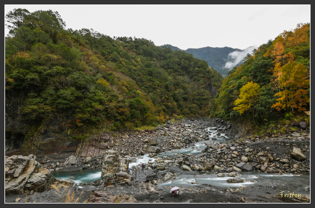 JH1A1163.jpg - 20151221 新竹秀巒賞楓