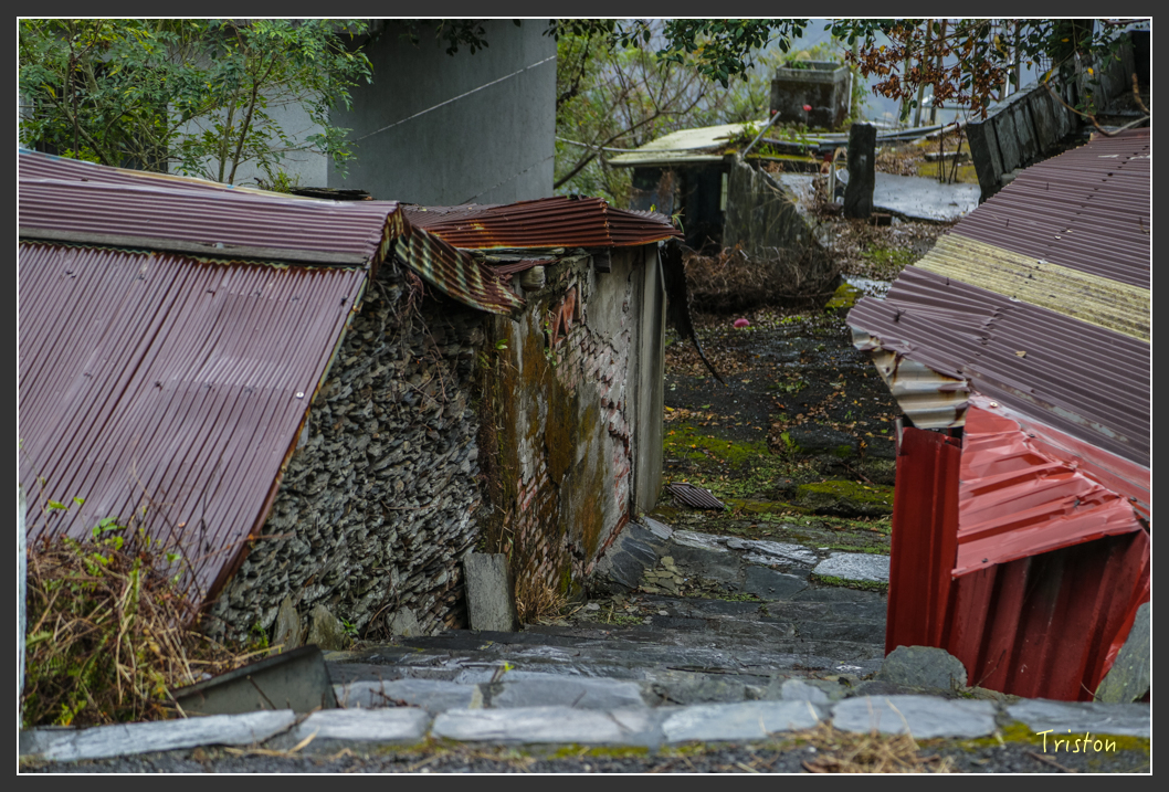 JH1A8124.jpg - 20160111 吉露、阿禮部落