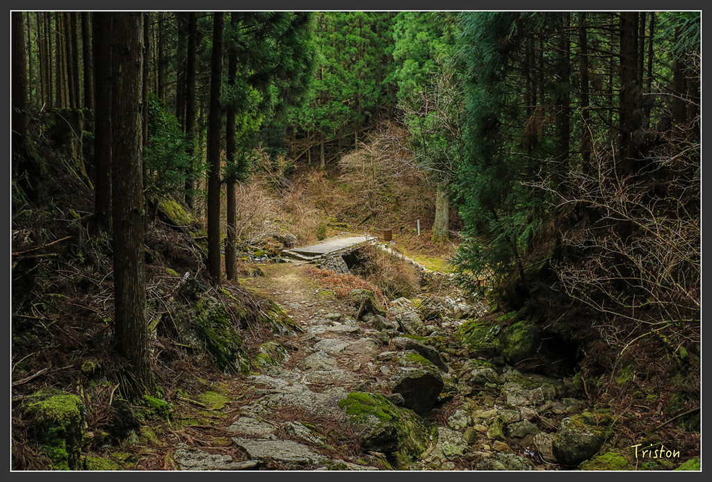 IMG_5466.jpg - 20160323 日本熊野古道健行