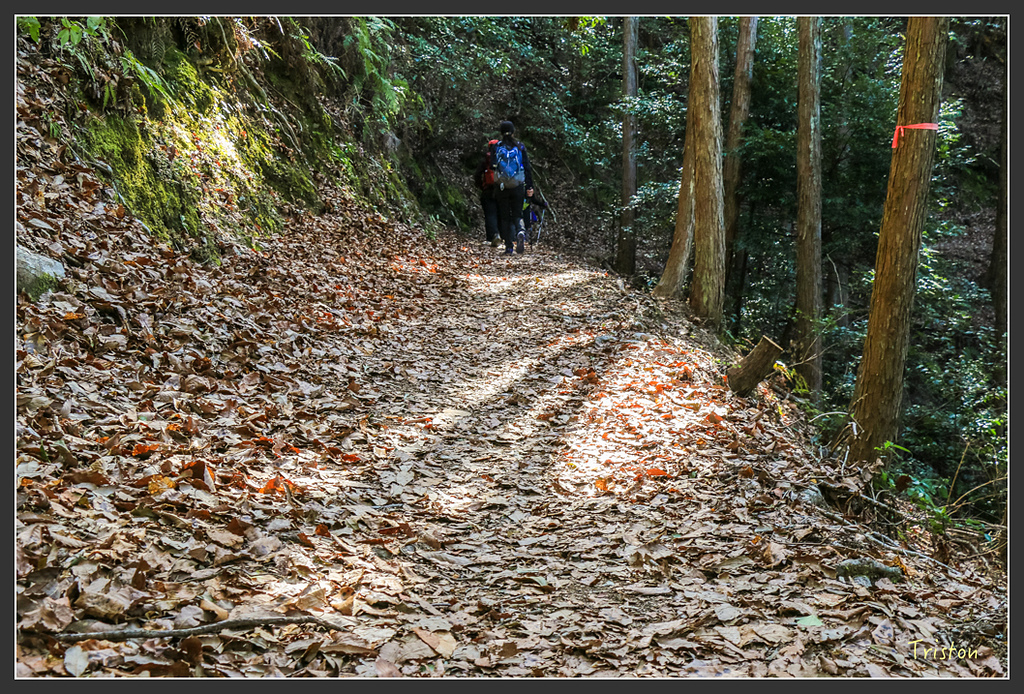 IMG_5029.jpg - 20160323 日本熊野古道健行