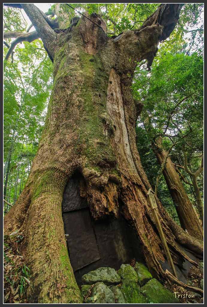 IMG_5736.jpg - 20160323 日本熊野古道健行