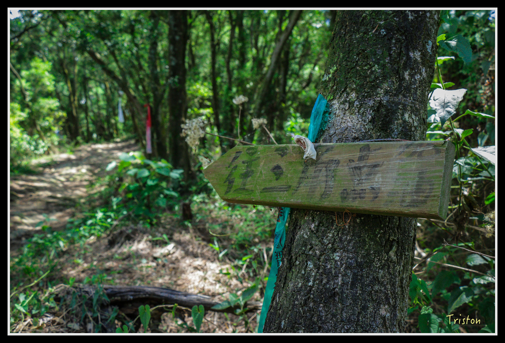 IMG_7293.jpg - 20160531 屏東笠頂山