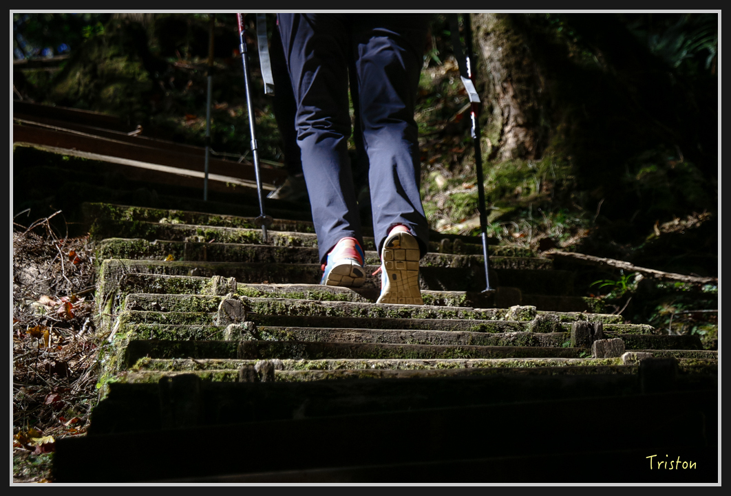 _MG_0071.jpg - 20161226 大塔山