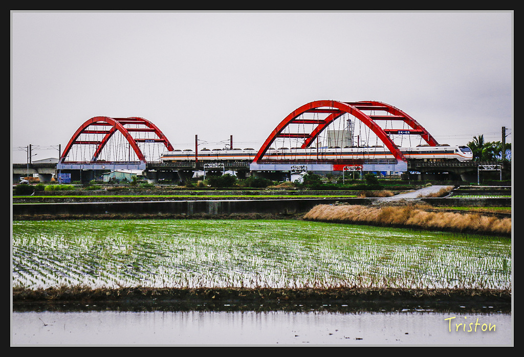 2017-02-27 10.03.53 下午 _MG_0152.jpg - 20170225 玉里瓦拉米