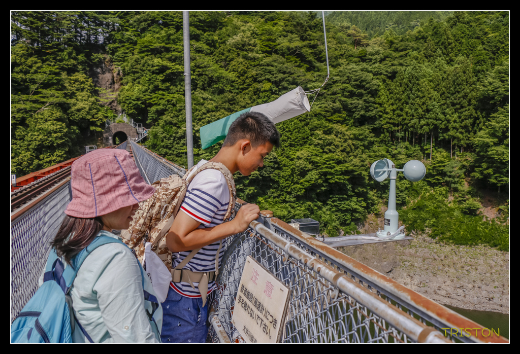 _MG_0532.jpg - 20170702 靜岡東海道之旅