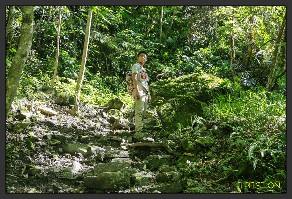 _H1A6290.jpg - 20170901 戀戀台九線