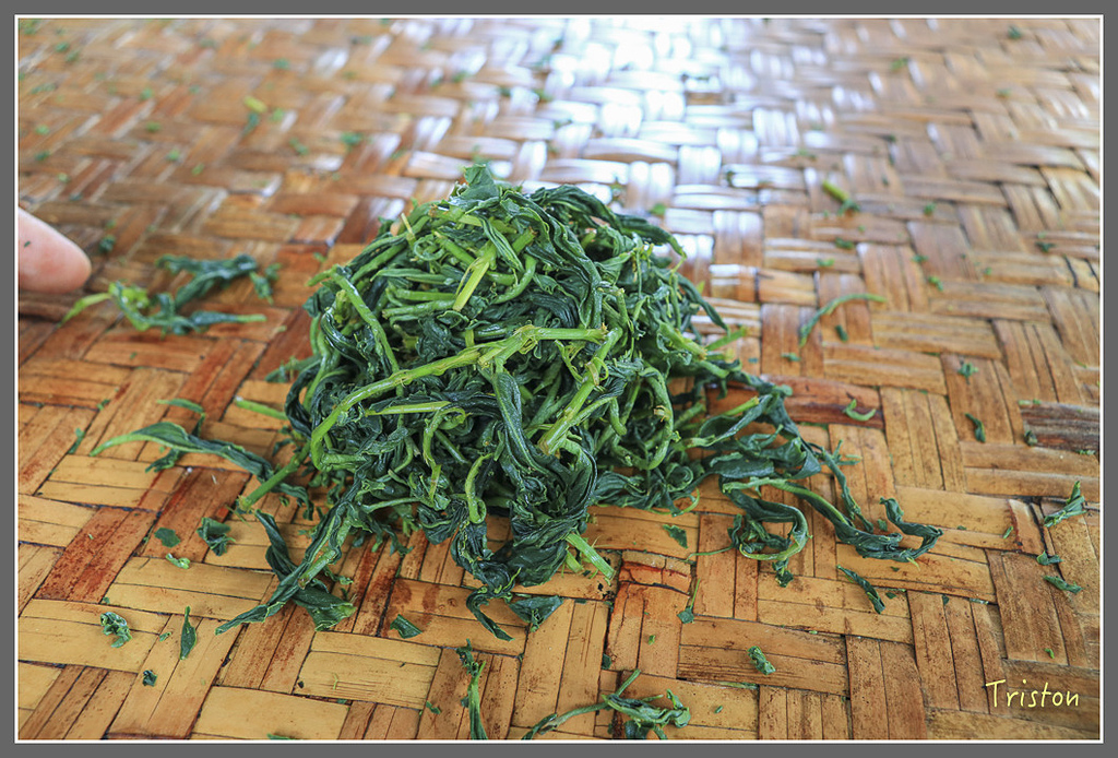 IMG_2220.jpg - 20180802 樂野山芙蓉揉茶,阿將咖啡的家