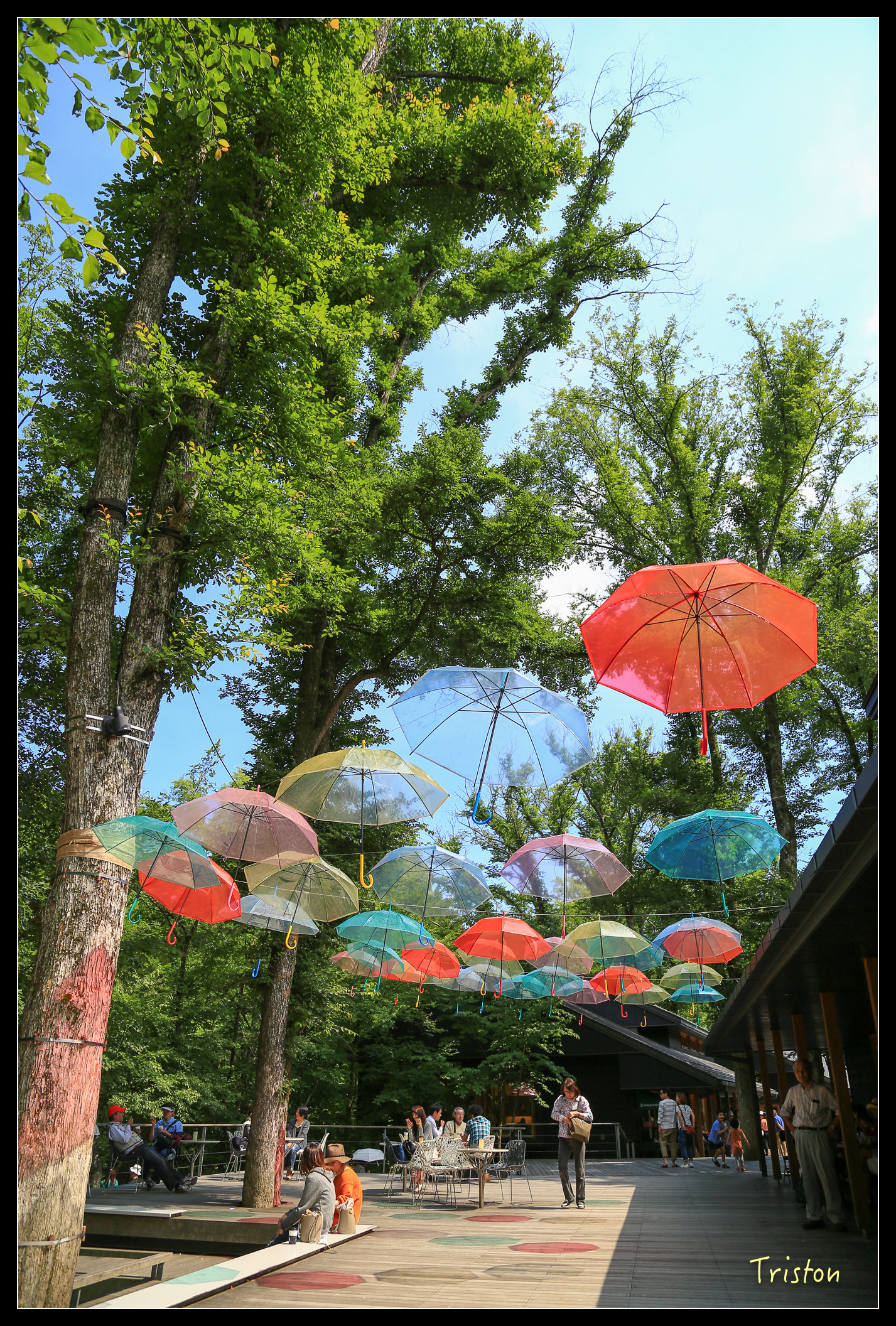 JH1A9111.jpg - 20150628 東京輕井澤日光