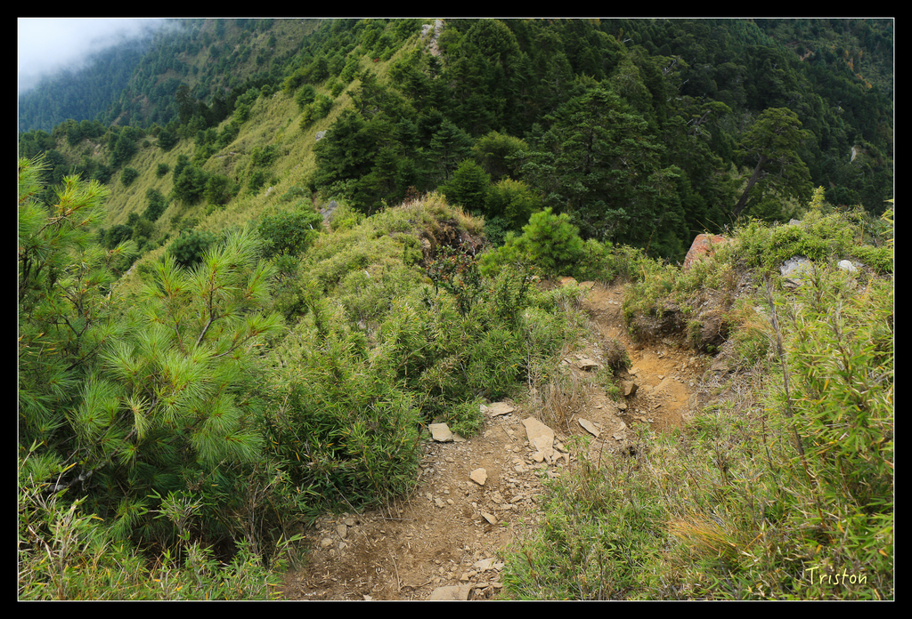 IMG_8772.jpg - 20151017 郡大林道、望鄉山、郡大山