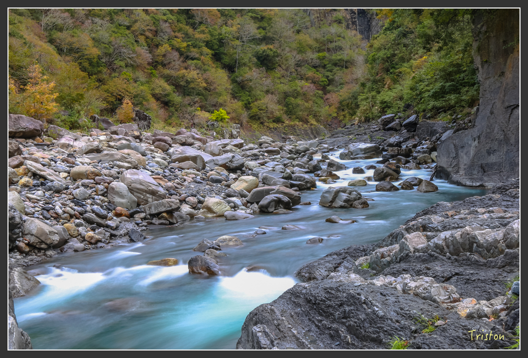 JH1A1275.jpg - 20151221 新竹秀巒賞楓