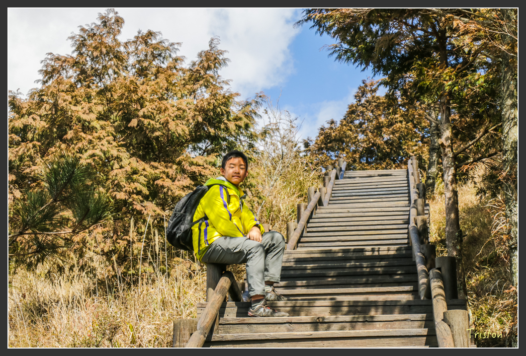 IMG_3389.jpg - 20160227 觀霧森林步道