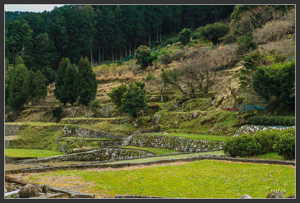 IMG_5762.jpg - 20160323 日本熊野古道健行