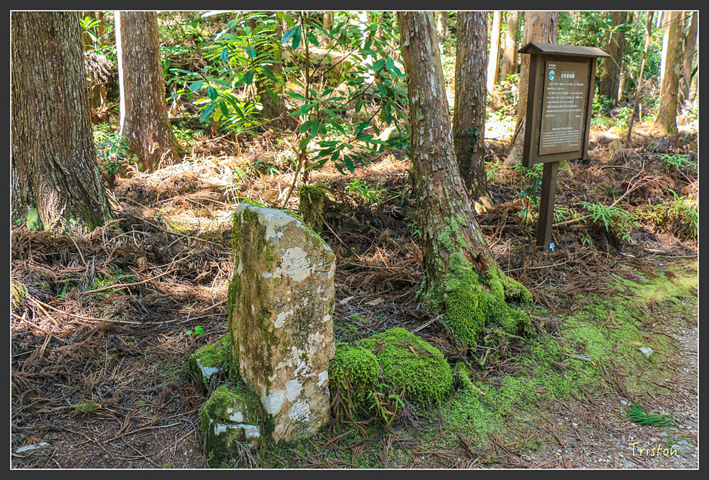 IMG_5126.jpg - 20160323 日本熊野古道健行