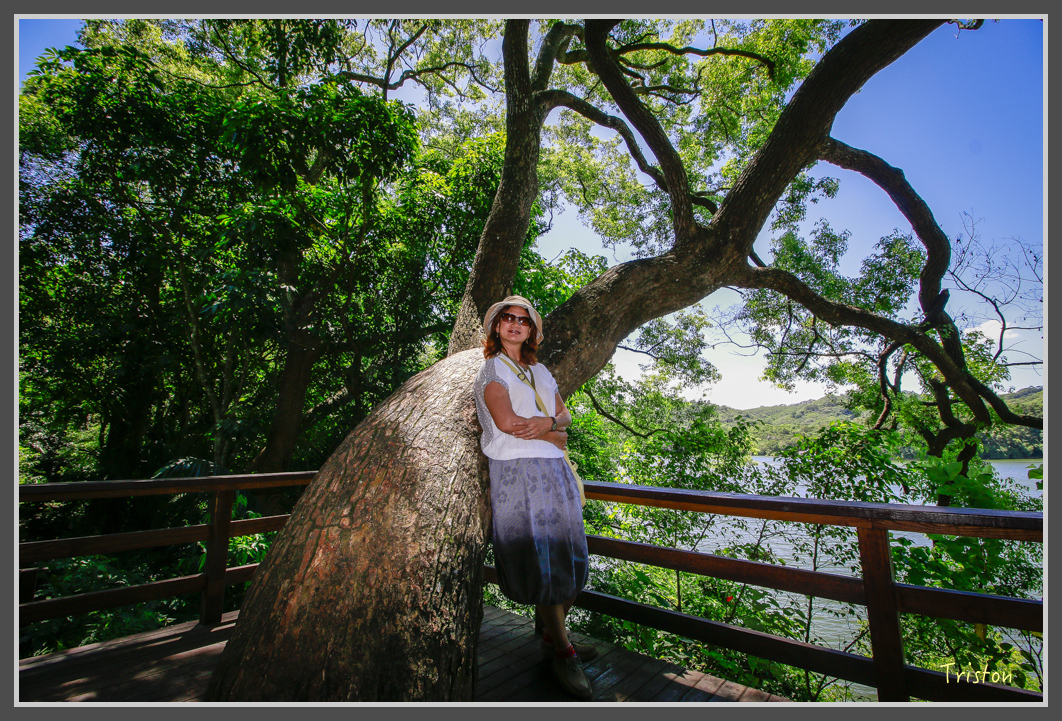 _MG_8862.jpg - 20160712 苗栗薰衣草森林