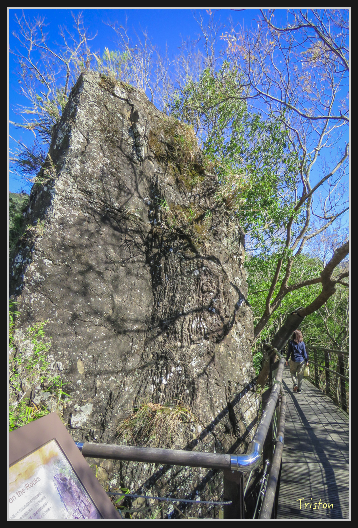 0020.jpg - 20161231 明池 神木園