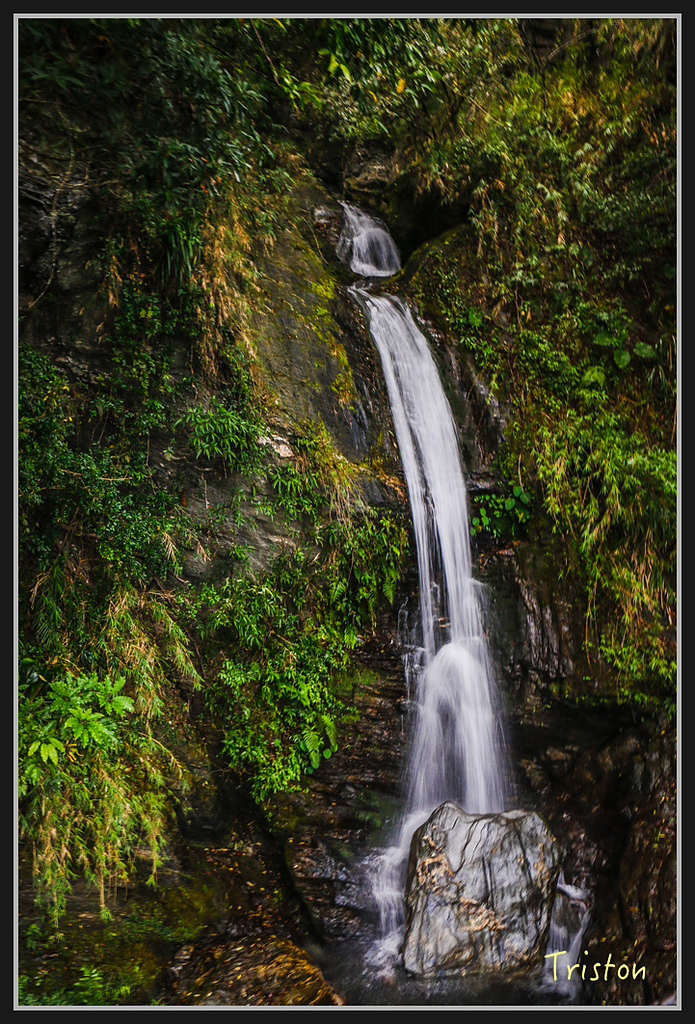 2017-02-27 10.03.53 下午 _MG_0185.jpg - 20170225 玉里瓦拉米