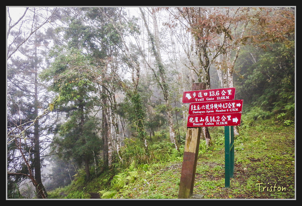 2017-02-27 10.03.53 下午 _MG_0388.jpg - 20170225 玉里瓦拉米