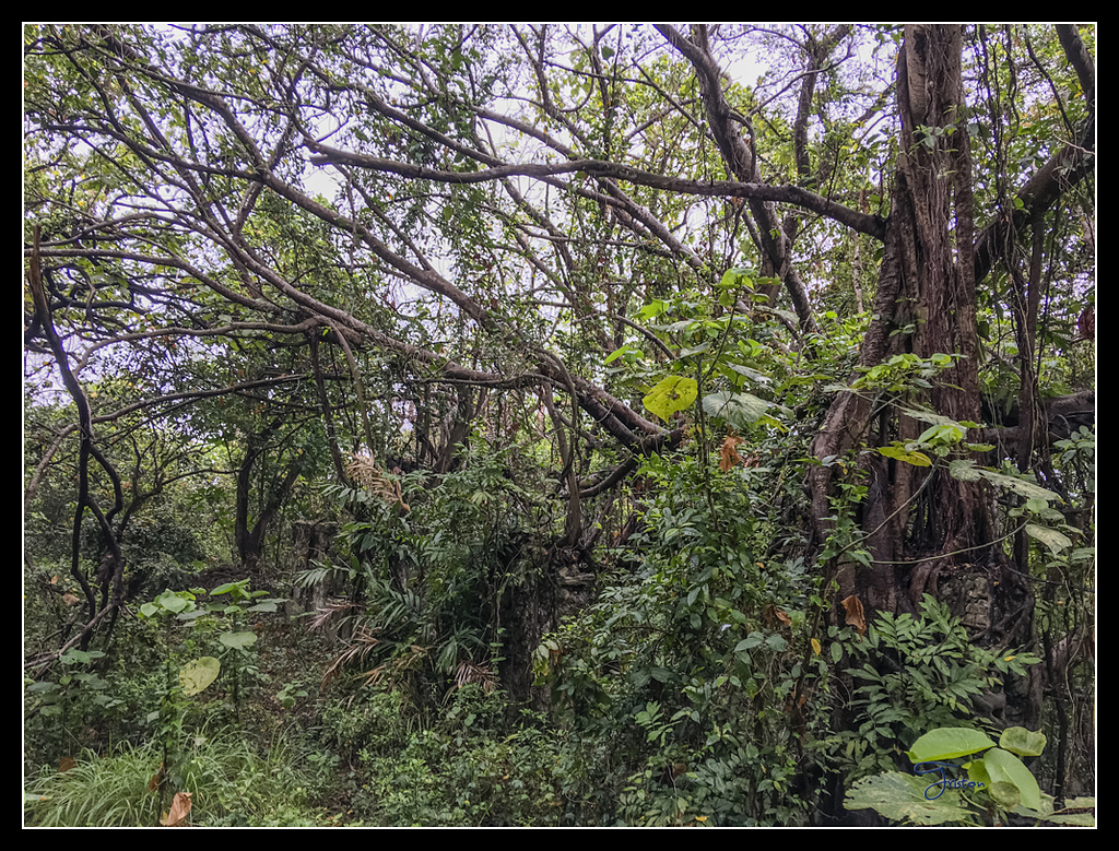 IMG_2765.jpg - 20170422 左營龜山步道、舊城