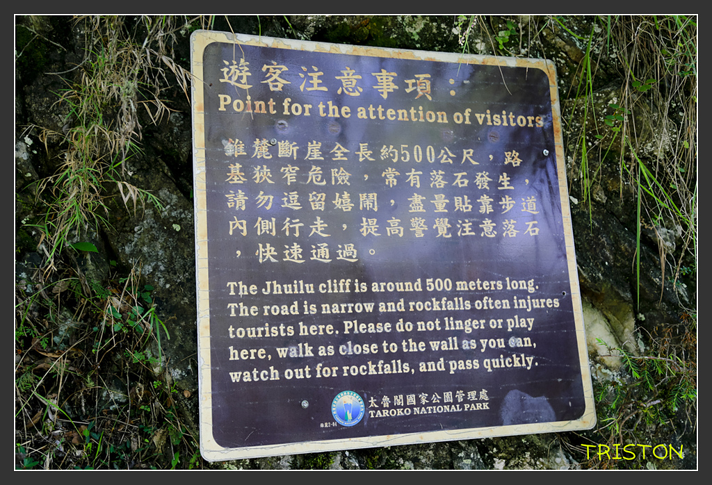 _H1A6365.jpg - 20170901 戀戀台九線