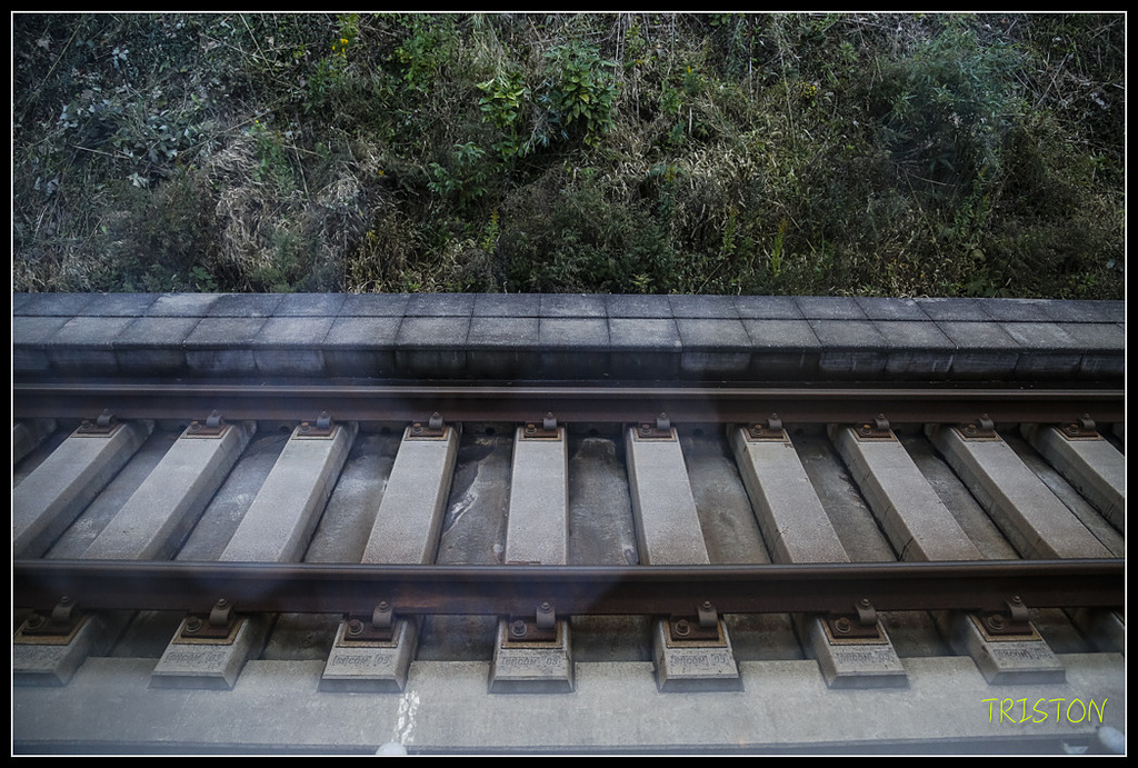 _H1A0080.jpg - 20171103 日本只見線、會津若松五色沼、昭和記念公園賞紅葉