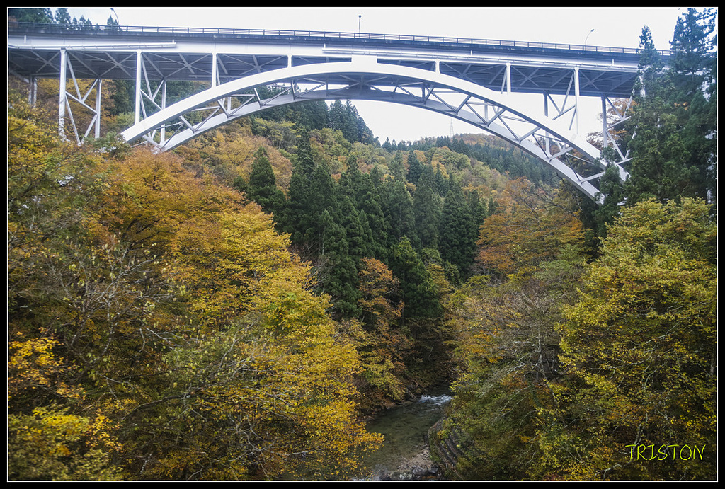 _H1A0823.jpg - 20171103 日本只見線、會津若松五色沼、昭和記念公園賞紅葉